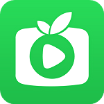 银河奇异果地区限制